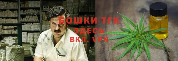 дмт Арсеньев