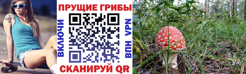 наркота  OMG онион  Галлюциногенные грибы мухоморы  Жиздра 